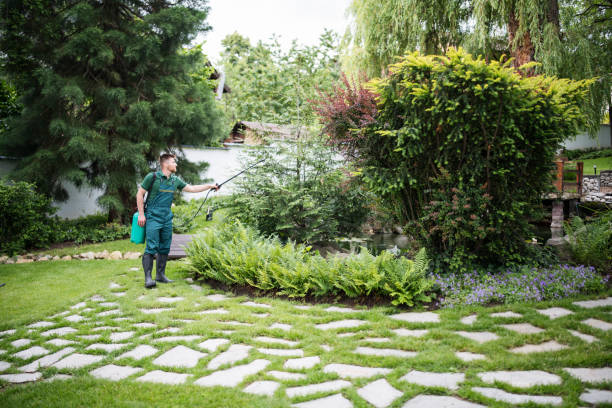 Best Insect Control  in Fairview Heights, IL