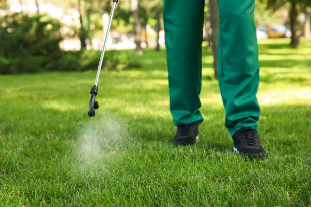 Best Spider Control Near Me  in Fairview Heights, IL