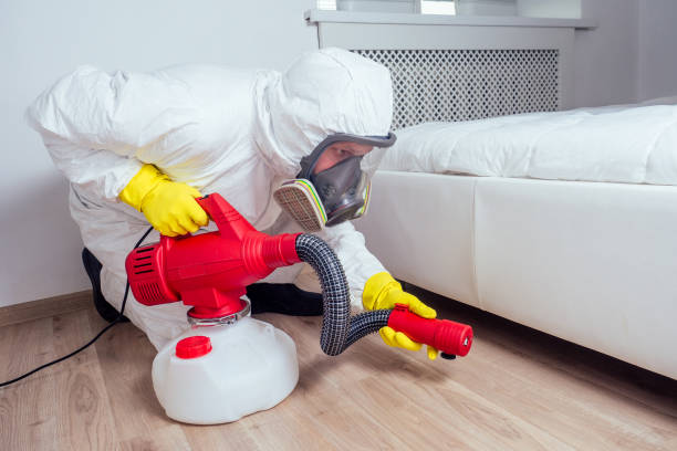 Wildlife Control Services in Fairview Heights, IL