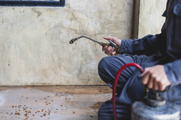 Best Best Pest Control Companies  in Fairview Heights, IL