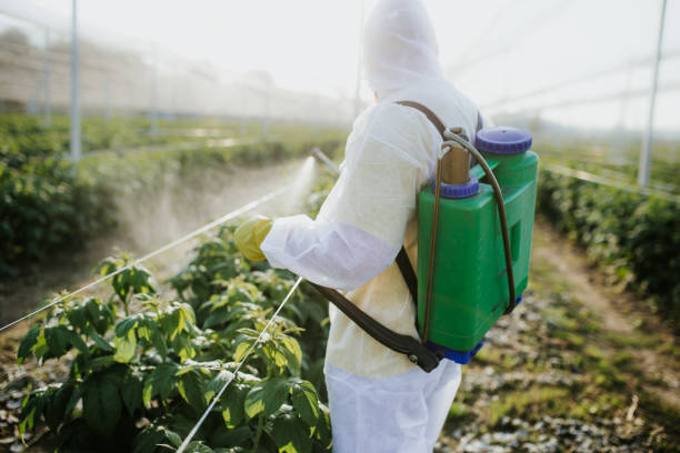 Best Pest Control Treatment  in Fairview Heights, IL